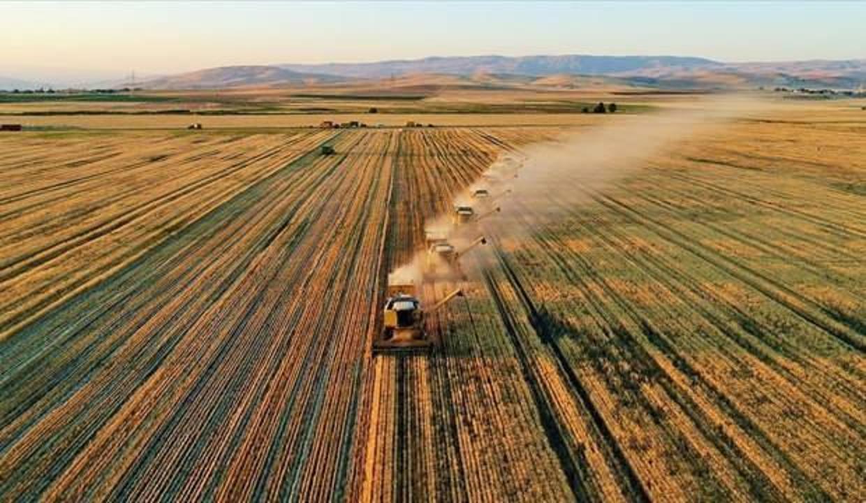 Tarım ÜFE, yıllık yüzde 36,39 arttı