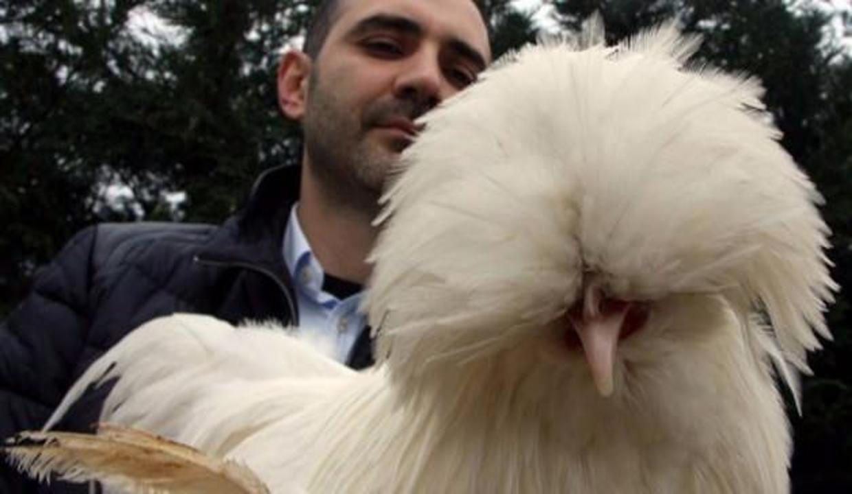 Rekor Fiyata Satildi Hayvanlar Alemi Haberleri