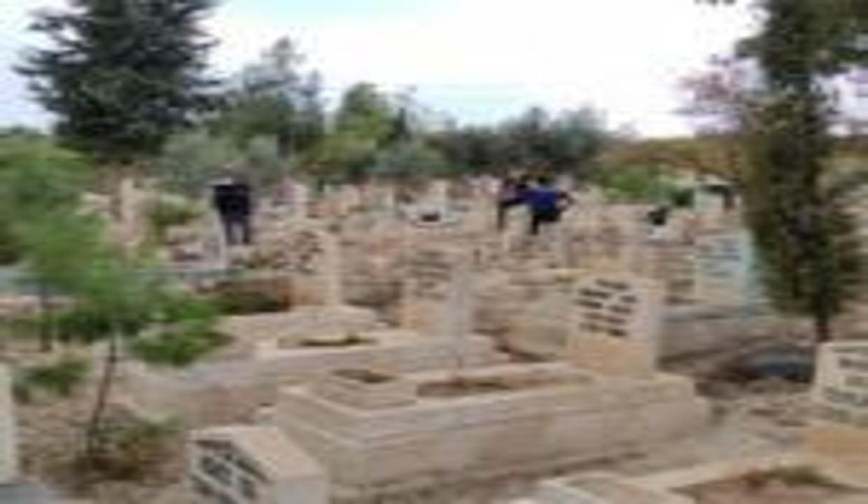 Şanlıurfa’da mezarlıkta korkunç olay!