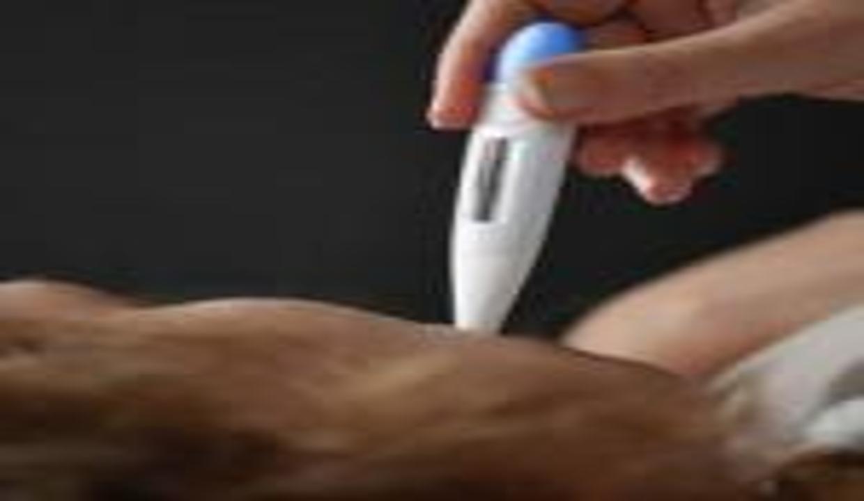 Uzmanlar uyardı: Grip olan kendisini Kovid'li olarak kabul etsin
