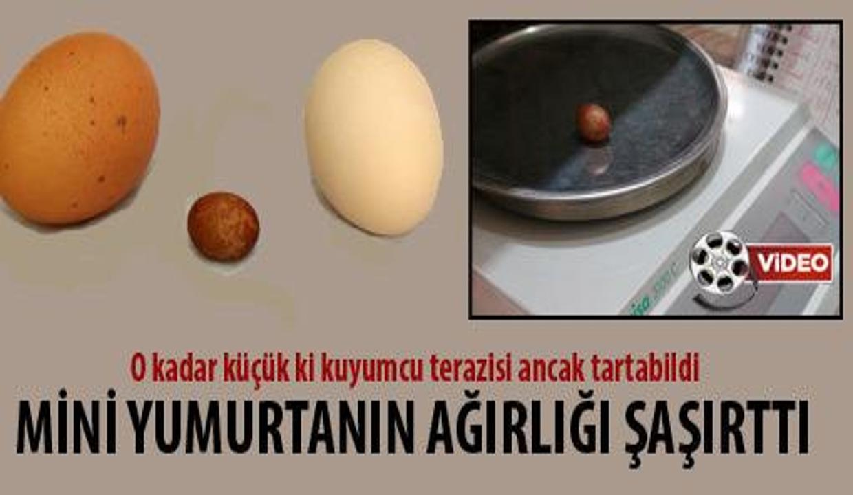 Dunyanin En Kucuk Yumurta Adayi Video Neler Oluyor Hayatta Haberleri Dunyanin En Kucuk Yumurta Adayi Video Neler Oluyor Hayatta Haberleri