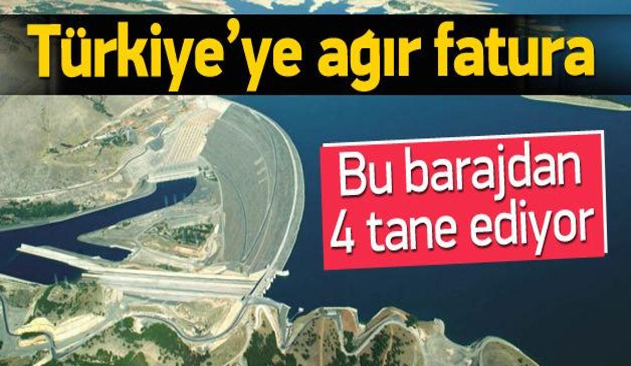 Kaçak elektrik için 4 Atatürk Barajı gerekiyor