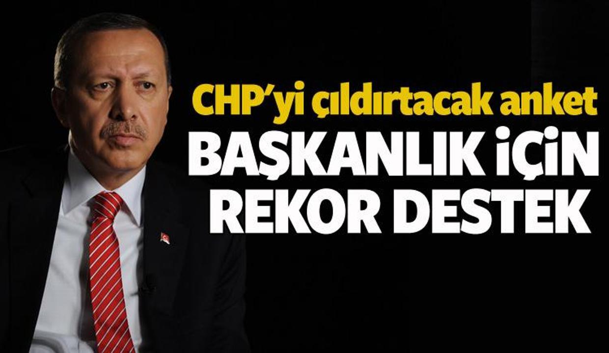 İşte başkanlık için son anket rakamları