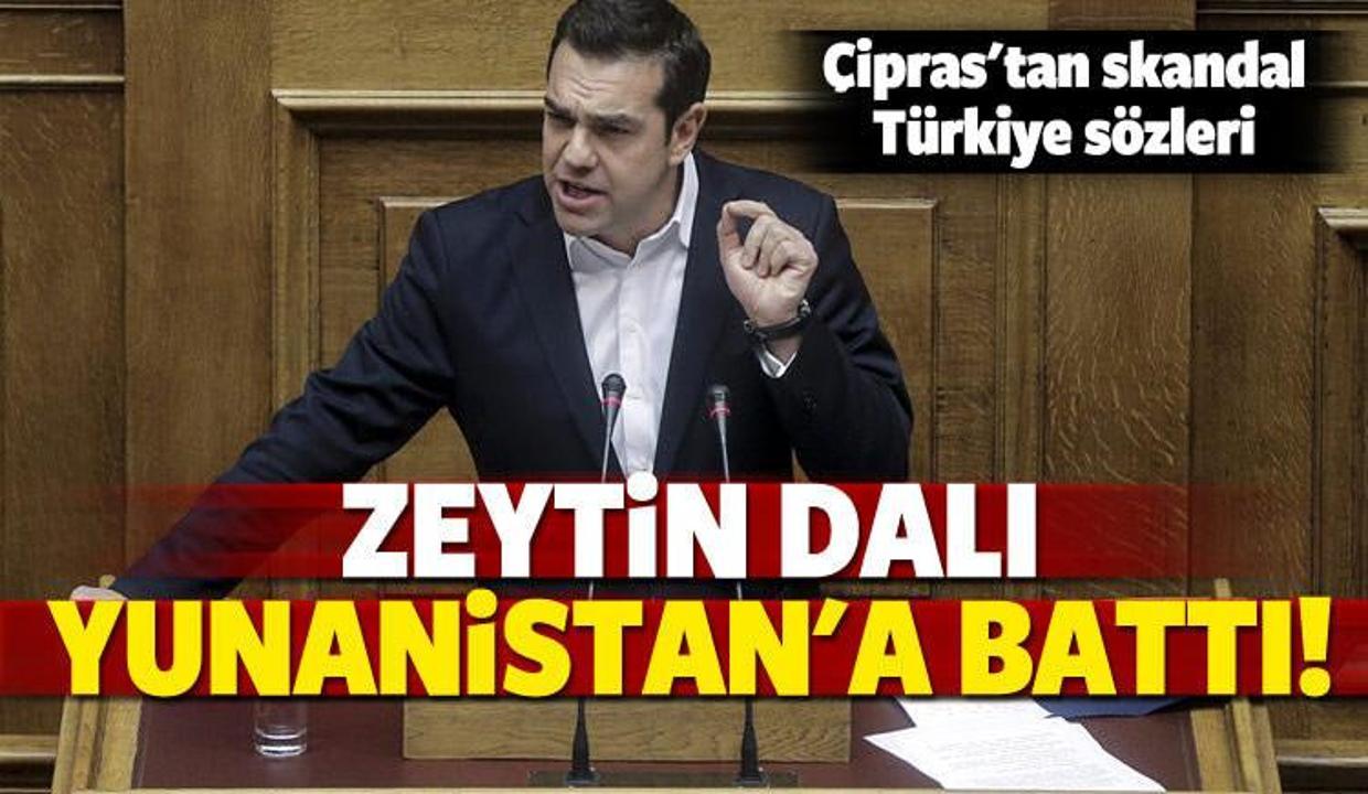 'Zeytin Dalı' Yunanistan'ı rahatsız etti