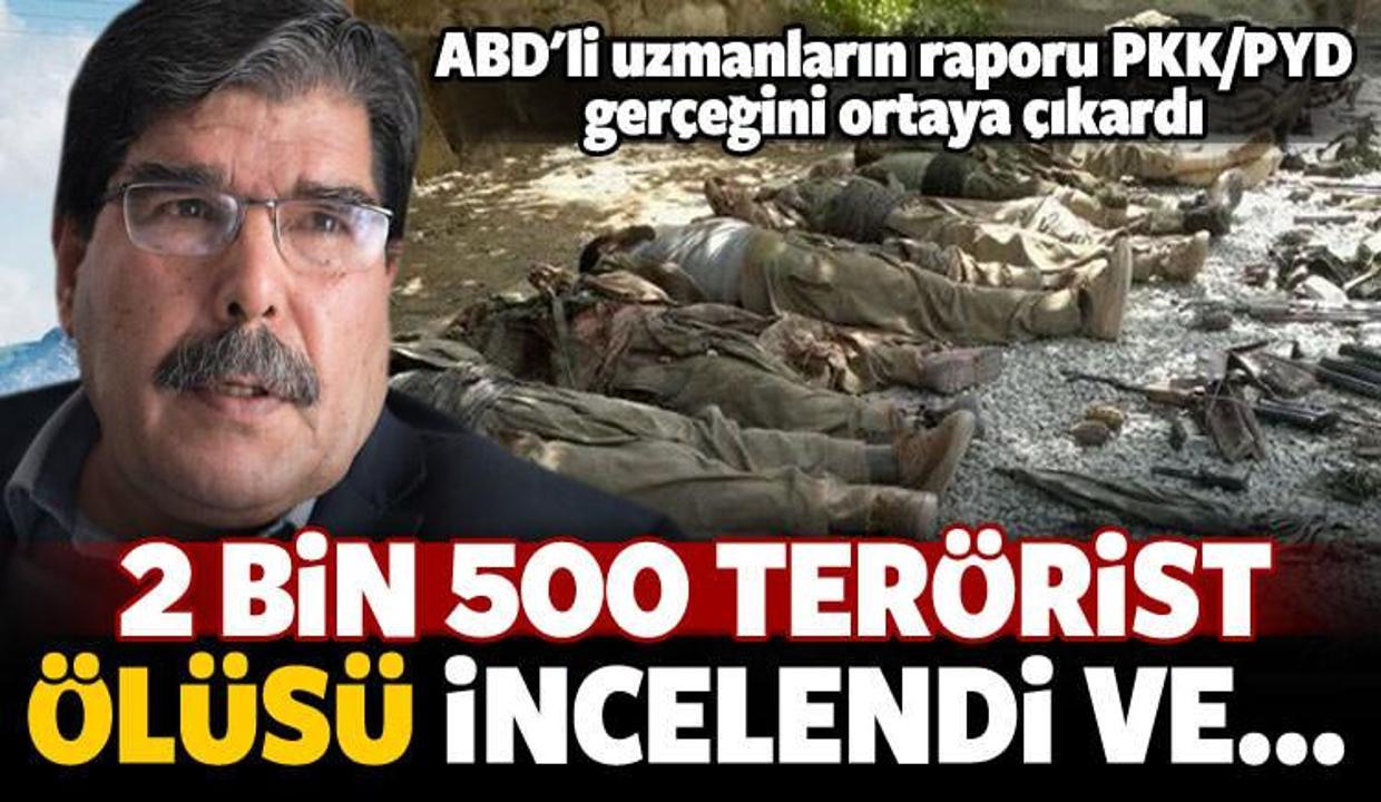 ABD'den çok konuşulacak PKK/PYD raporu!