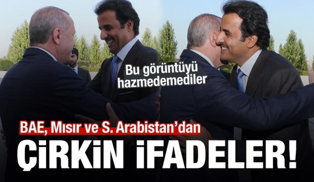 BAE, Mısır ve S. Arabistan'ın Türkiye hazımsızlığı