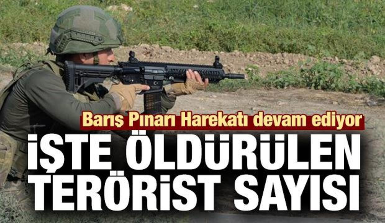 Barış Pınarı Harekatı devam ediyor... İşte öldürülen terörist sayısı
