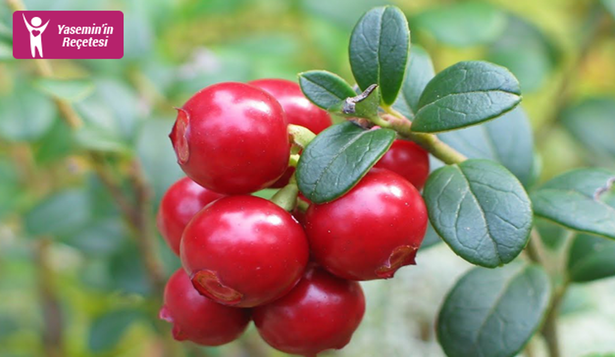 Kekreyemisin Faydalari Nelerdir Kekreyemis Hangi Hastaliklara Iyi Gelir Saglik Haberleri Haber7