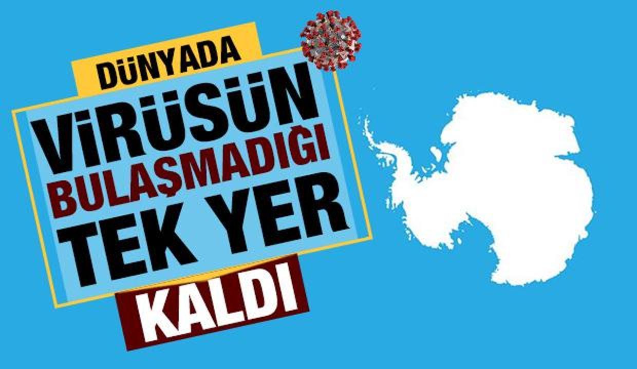 Koronavirüsün görülmediği tek yer!