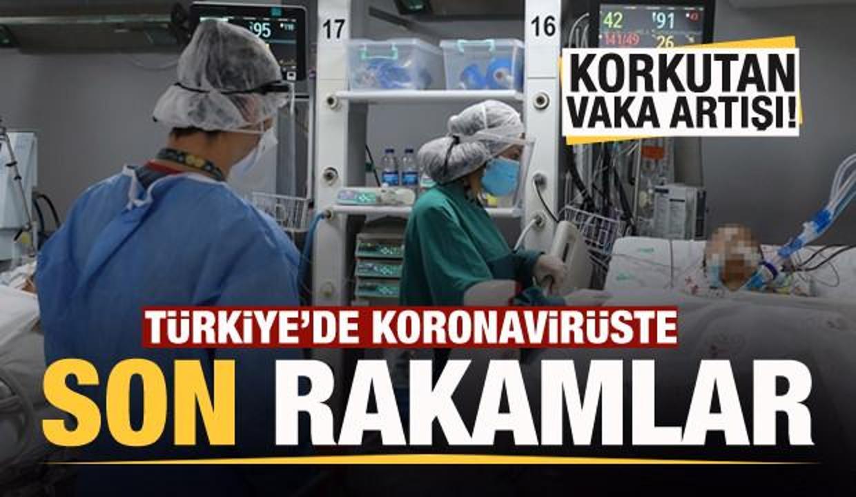 son dakika haberi 28 kasim koronavirus tablosu vaka hasta olu sayisi ve son durum aciklandi guncel haberleri