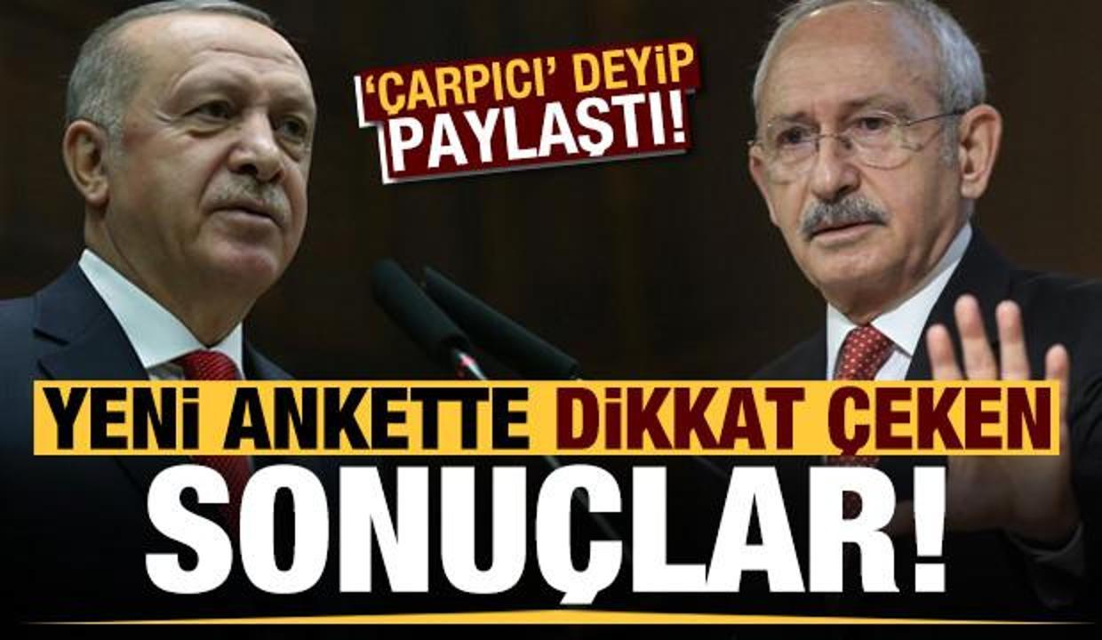 Yeni ankette dikkat çeken sonuçlar! 'Çarpıcı' deyip paylaştı...