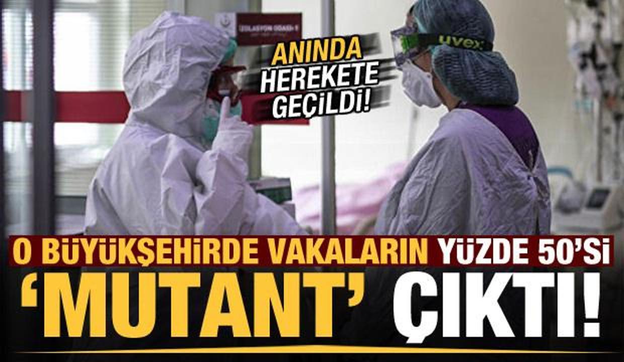 O büyükşehirde vakaların yüzde 50'si mutant çıktı! Anında harekete geçildi