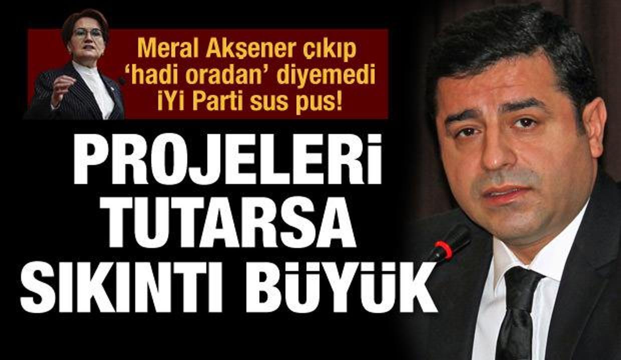 Demirtaş’a lâl olan İyi Partililer, “Proje”niz tutarsa ne olur farkında mısınız?"