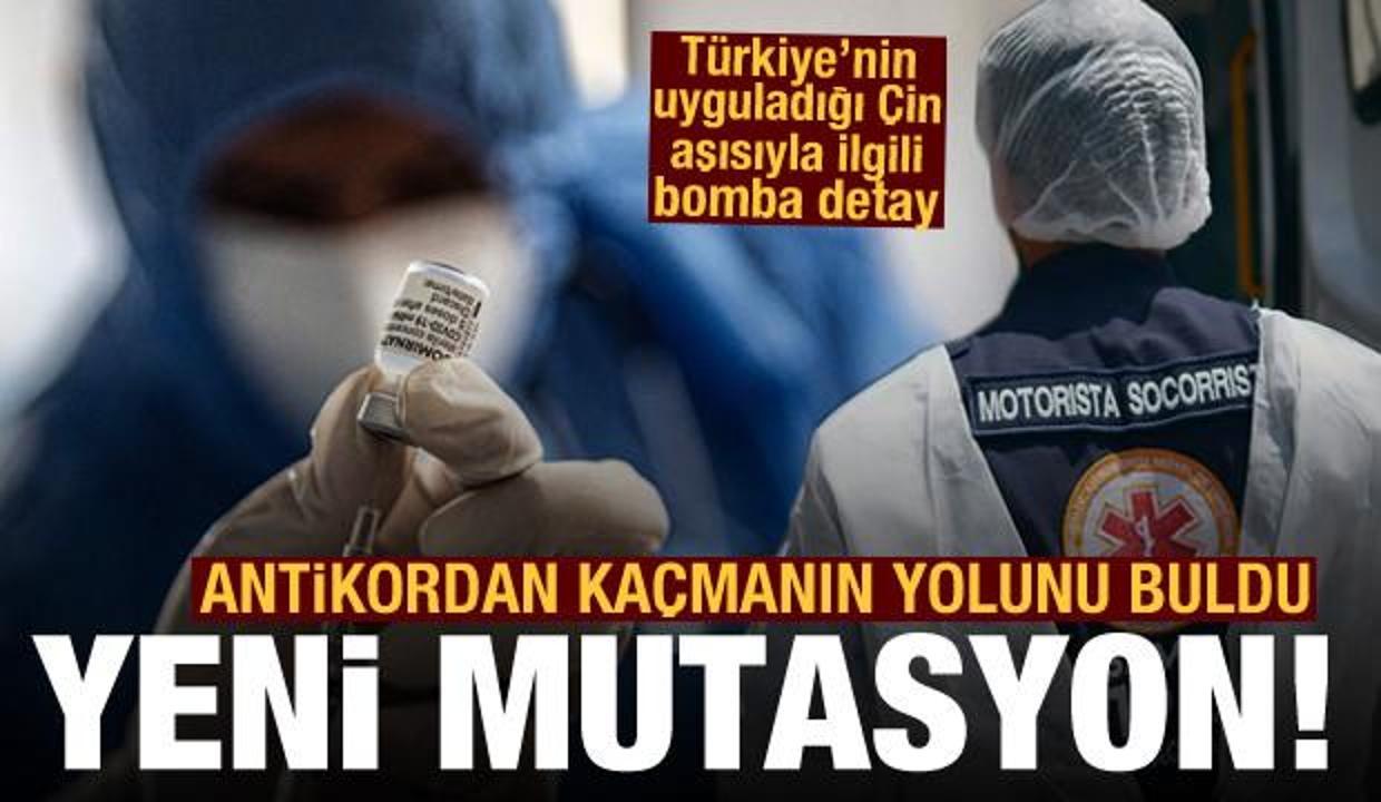 Koronavirüste P1 varyantında mutasyon: Antikordan kaçmanın yolunu buldu