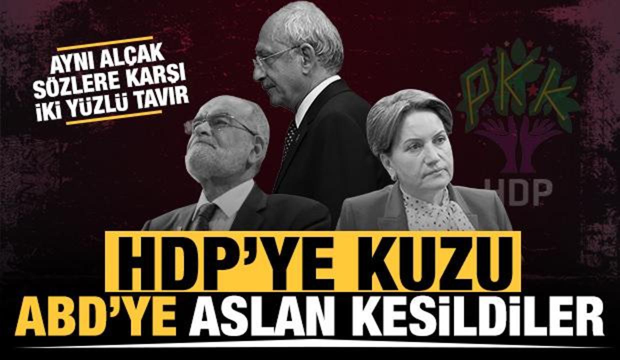 Muhalefetin acınası hali: HDP'ye kuzu, ABD'ye aslan kesildiler