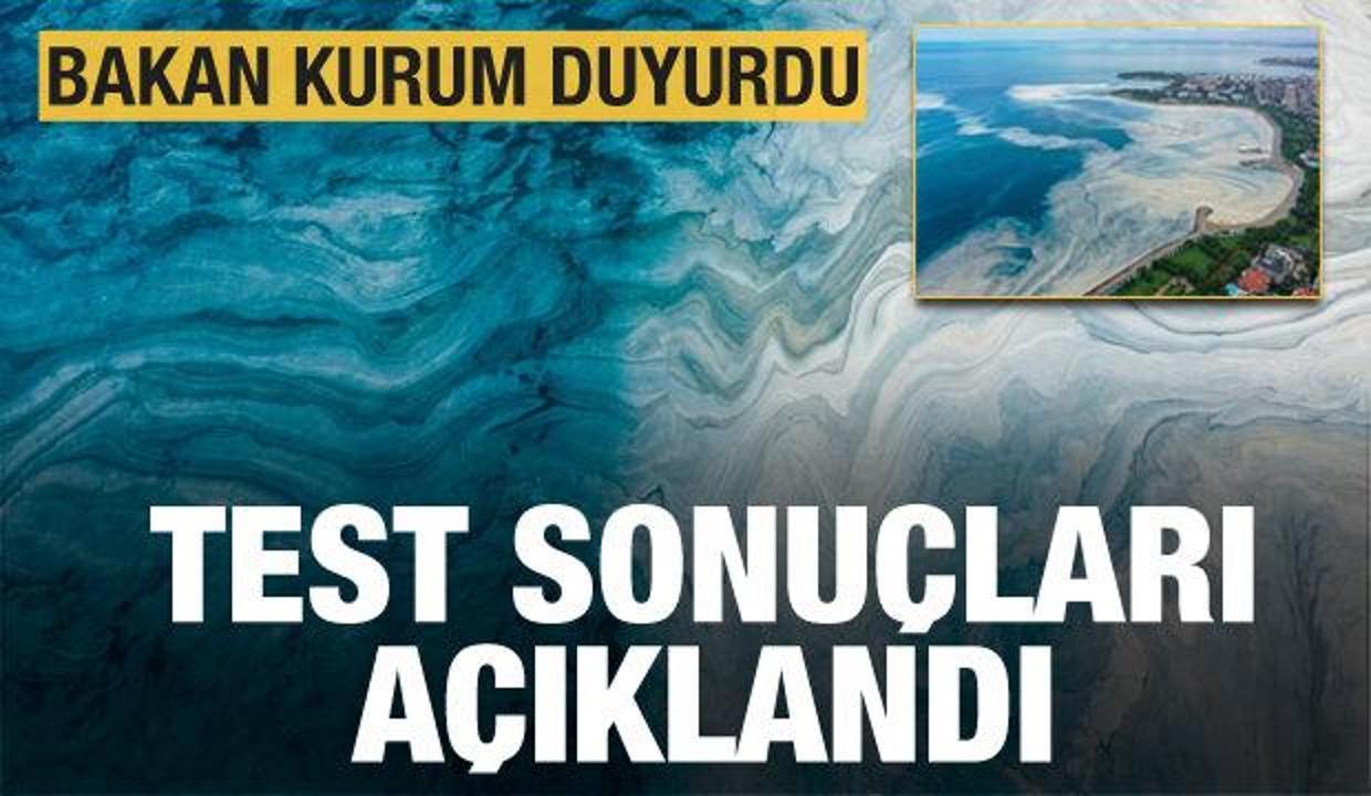 Son dakika: Bakan Kurum 'Test sonuçları çıktı' diyerek duyurdu! Müsilaj tehlikeli mi?