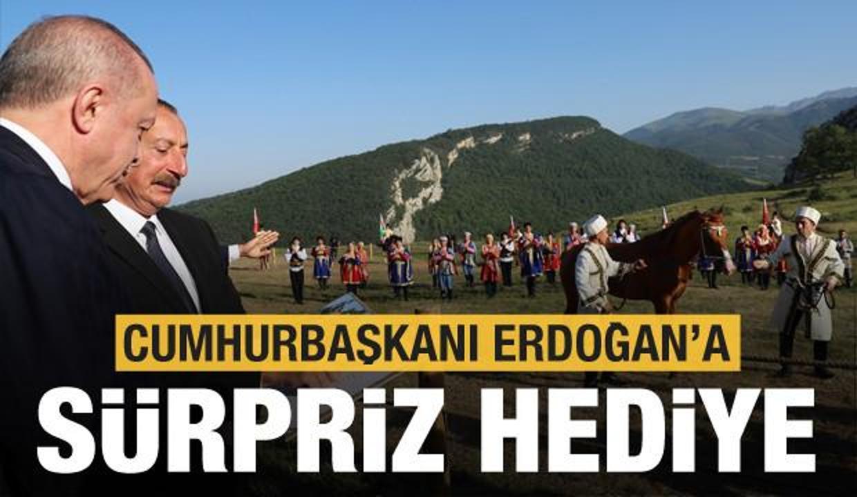 Şuşa'da Erdoğan’a dünyaca ünlü Karabağ atı hediye edildi