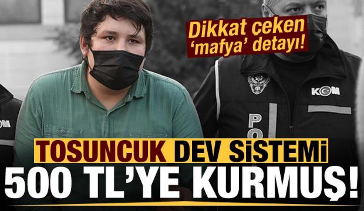 Tosuncuk dev sistemi 500 TL'ye kurmuş! Dikkat çeken mafya detayı...