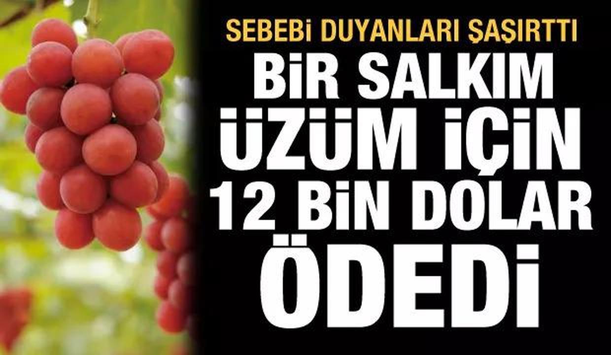 Bir salkım kızıl üzüm için 12 bin 700 dolar ödedi