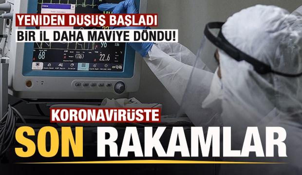 Son dakika: 16 Temmuz koronavirüs tablosu! Vaka, Hasta, ölü sayısı ve son durum açıklandı