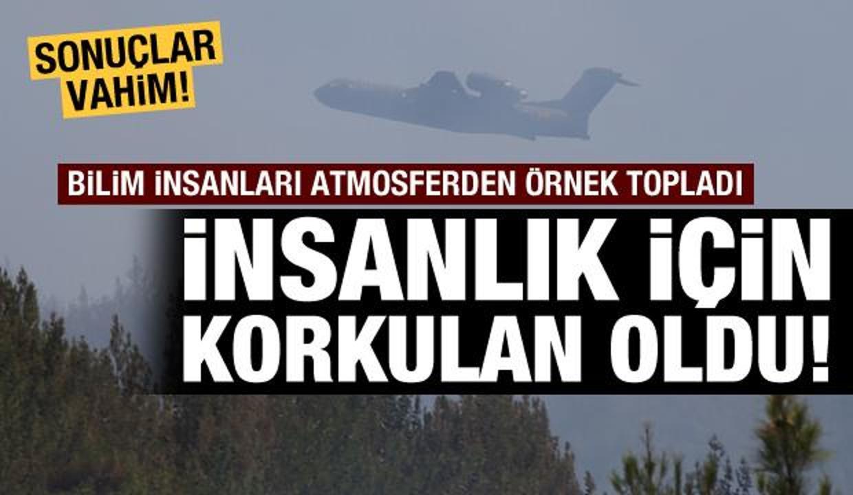 Ve insanlık için korkulan oldu: Ormanlar artık fonksiyonunu yerine getiremiyor!