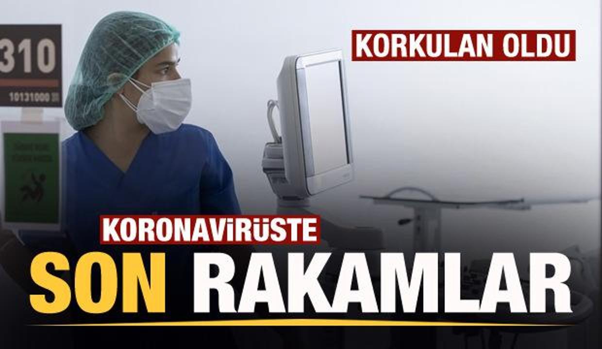 Son dakika: 23 Temmuz koronavirüs tablosu! Vaka, Hasta, ölü sayısı ve son durum açıklandı
