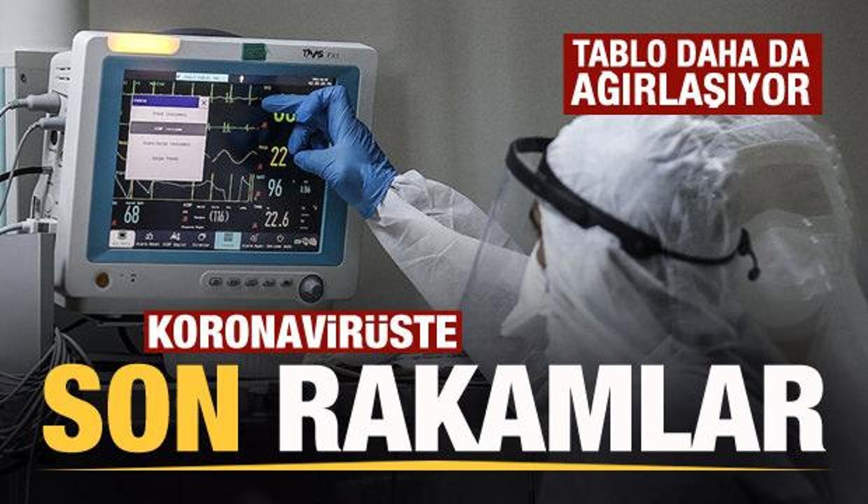 Son dakika: 25 Temmuz koronavirüs tablosu açıklandı! Büyük artış...