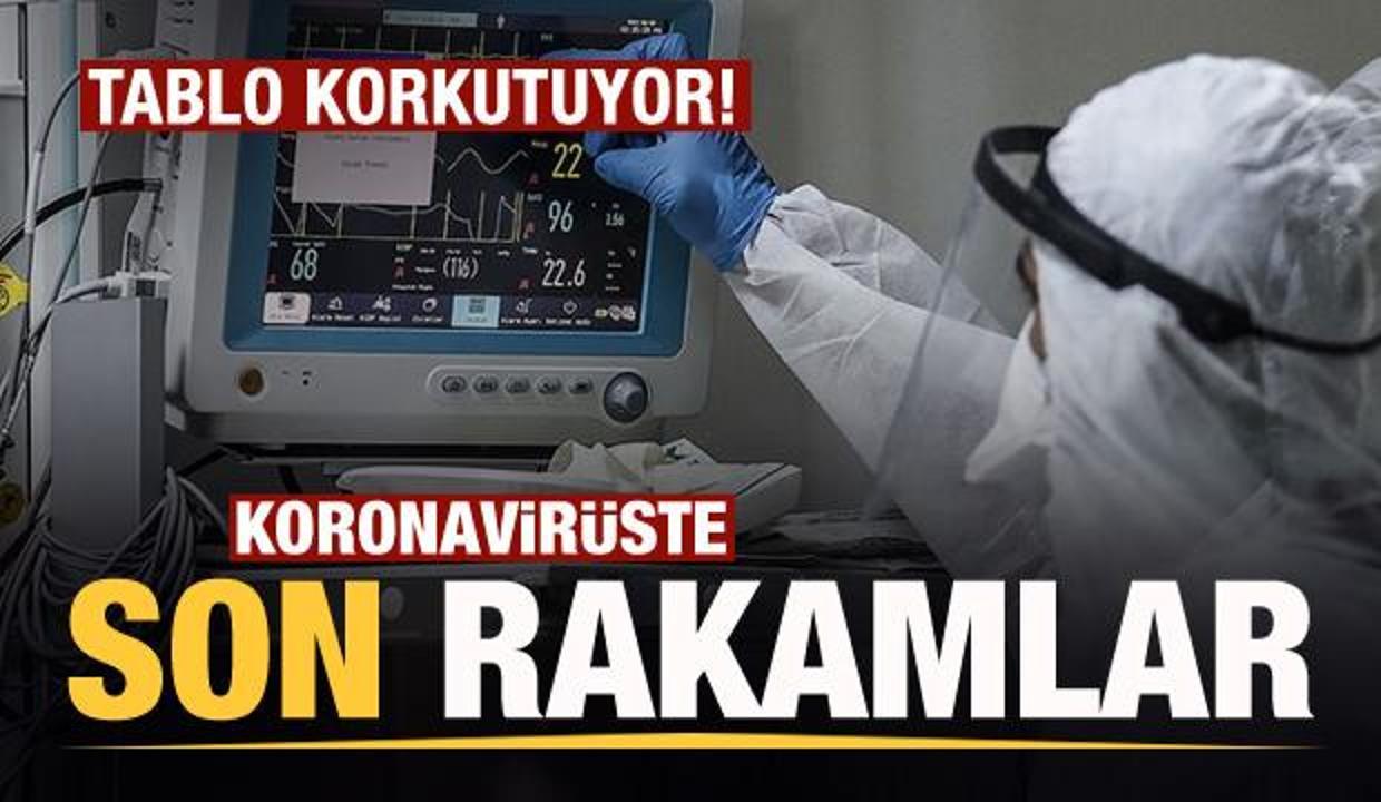 Son dakika: 26 Temmuz koronavirüs tablosu açıklandı! Korkutan rakamlar