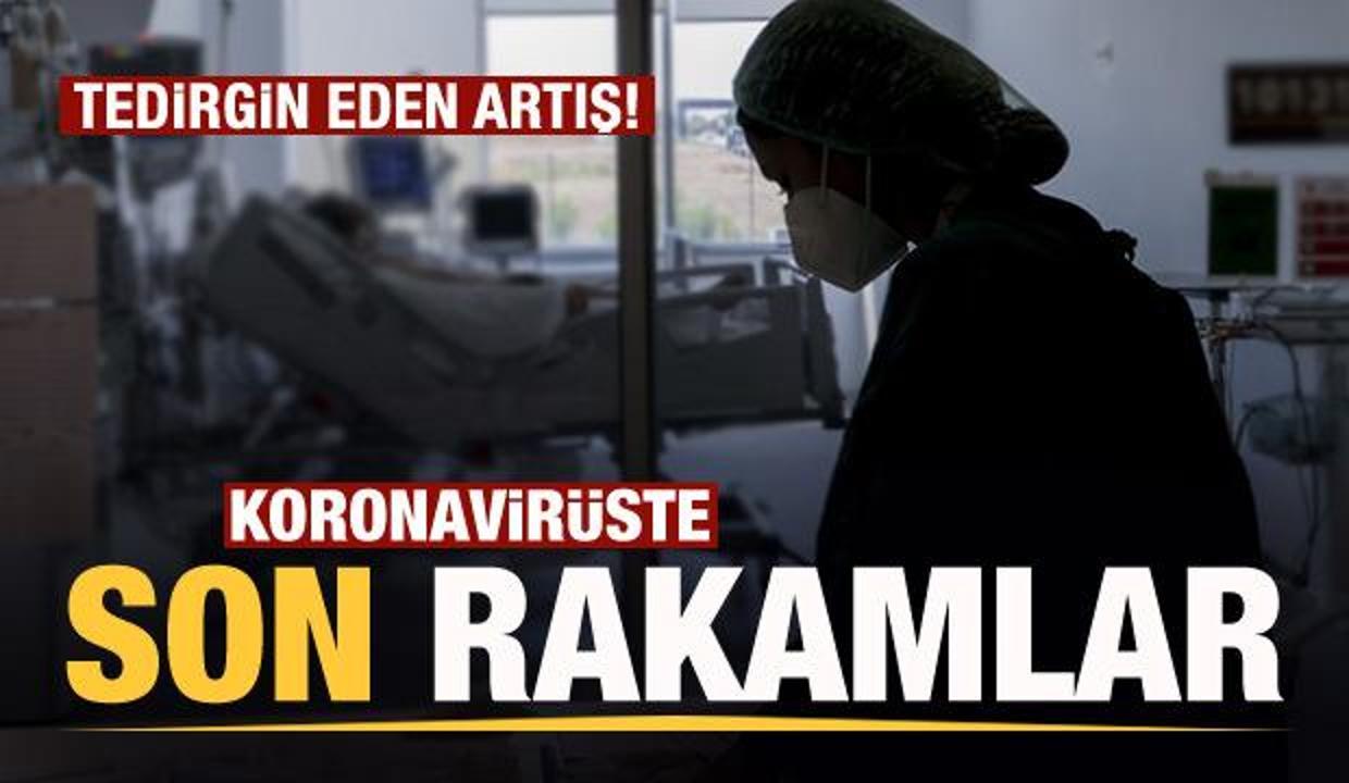 Son dakika: 31 Temmuz koronavirüs tablosu açıklandı!