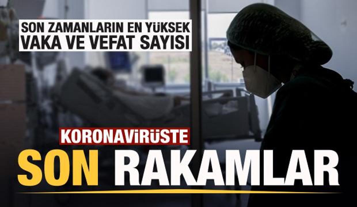 Son dakika: 3 Ağustos koronavirüs tablosu açıklandı! Bir günde korkutan artış