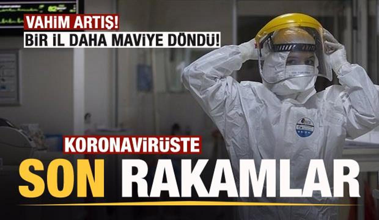 Son dakika: 4 Ağustos koronavirüs tablosu açıklandı! Endişelendiren rakamlar
