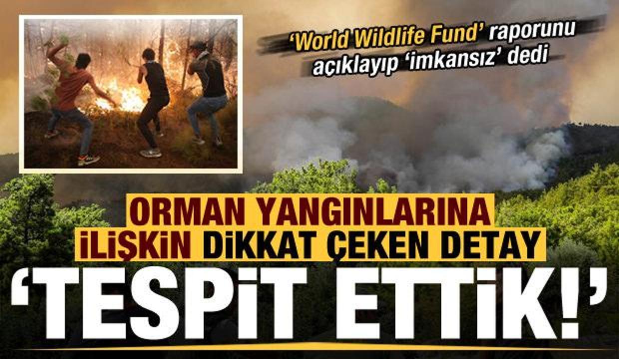 Son dakika: Orman yangınlarına ilişkin dikkat çeken detay! 'Tespit ettik...'
