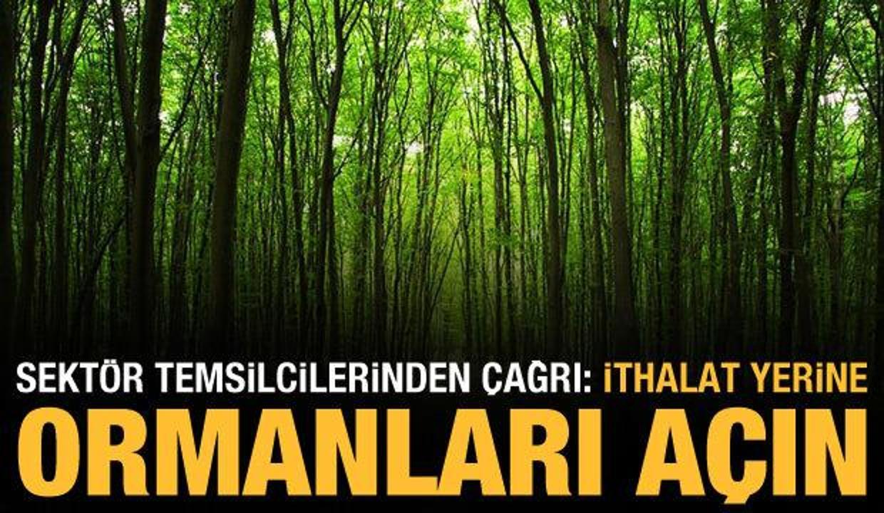 Yem sıkıntısı yaşayan sektör temsilcilerinden çağrı: Ormanlar açılsın