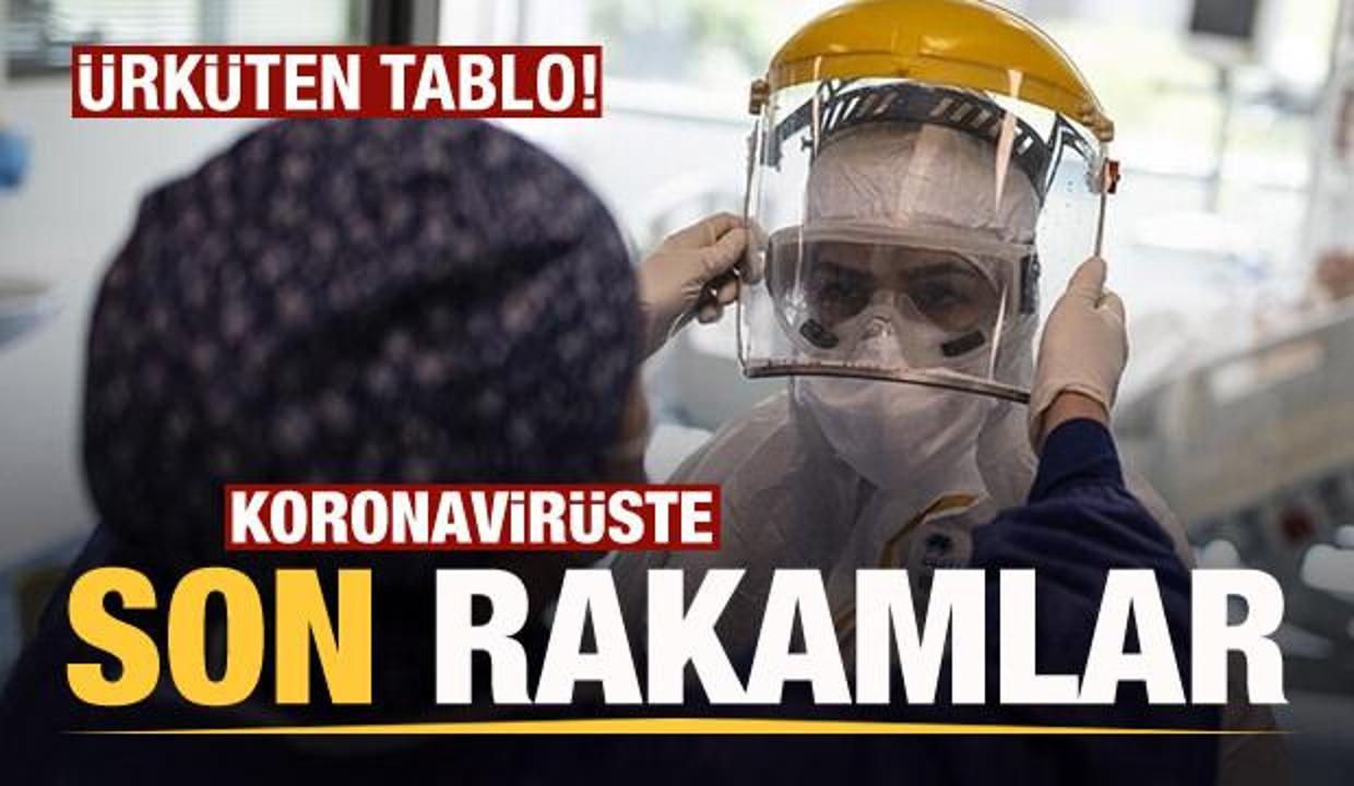 Son dakika: 14 Eylül koronavirüs tablosu açıklandı! Ürküten tablo