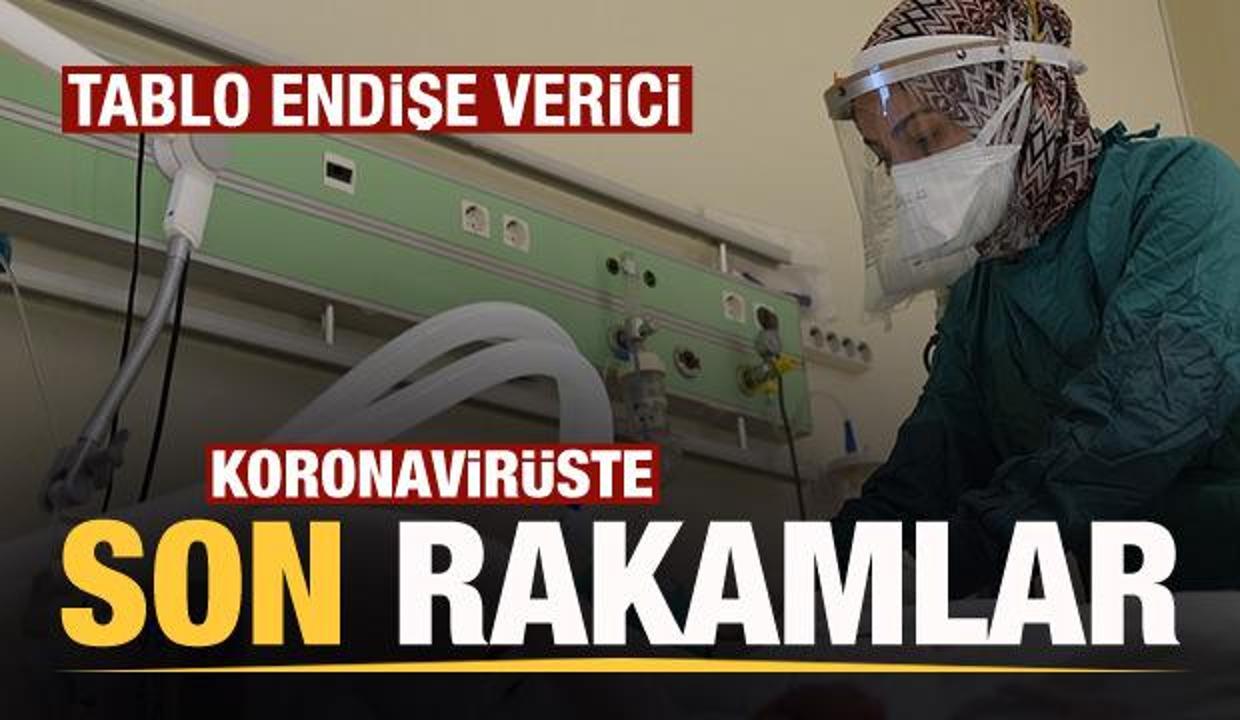 Son dakika: 16 Eylül koronavirüs tablosu açıklandı!