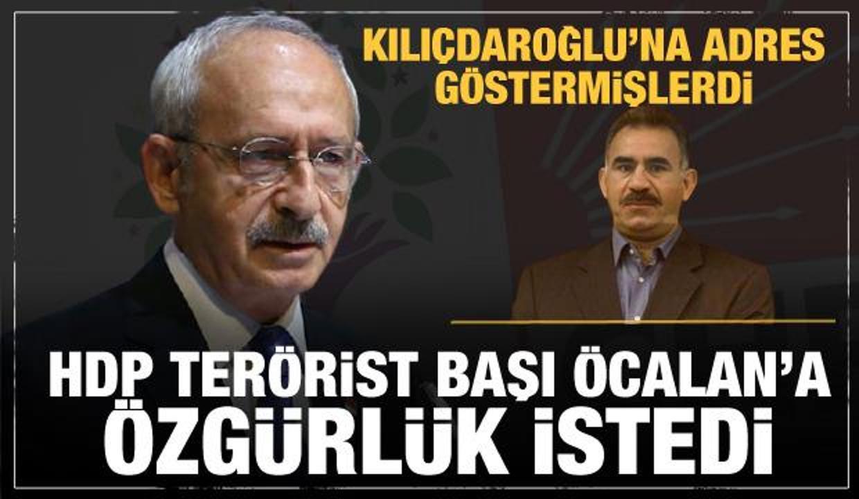 Kılıçdaroğlu'na İmralı'yı adres gösteren HDP'den terörist başı Öcalan'a özgürlük isteği