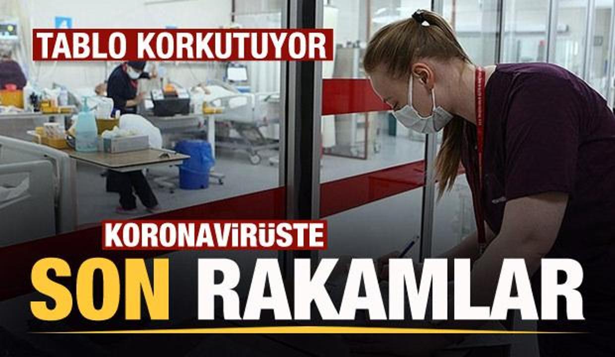 Son dakika: 5 Ekim koronavirüs tablosu açıklandı! Rakamlar korkutuyor