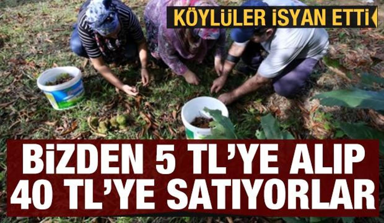 Köylüler toptancıları suçladı: Bizden 5 TL'ye alınan kestane büyükşehirde 40 TL
