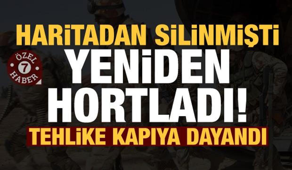 Kesin olarak yenildi denilen DEAŞ geri mi dönüyor?