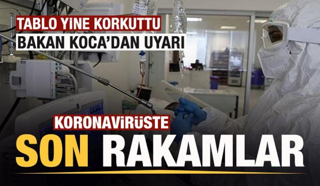Son dakika: 26 Ekim koronavirüs tablosu açıklandı! Yine korkuttu