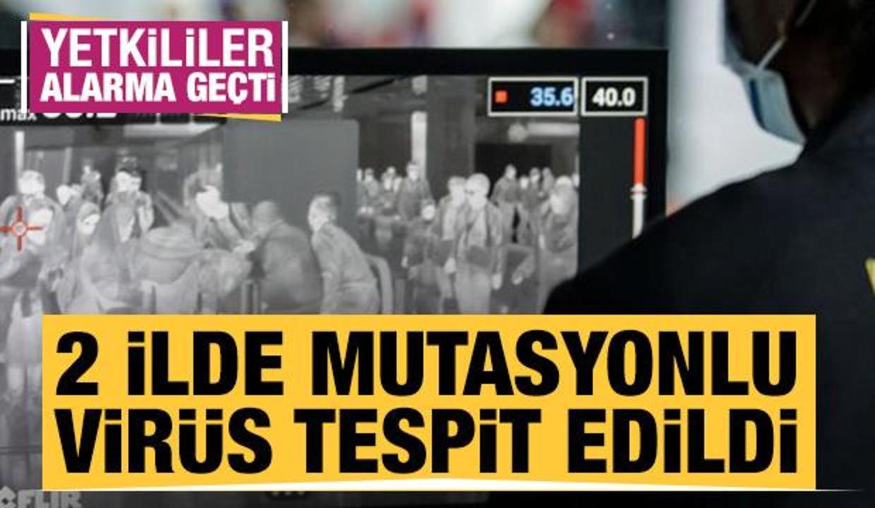 Mutasyonlu virüs 2 ilde ortaya çıktı!