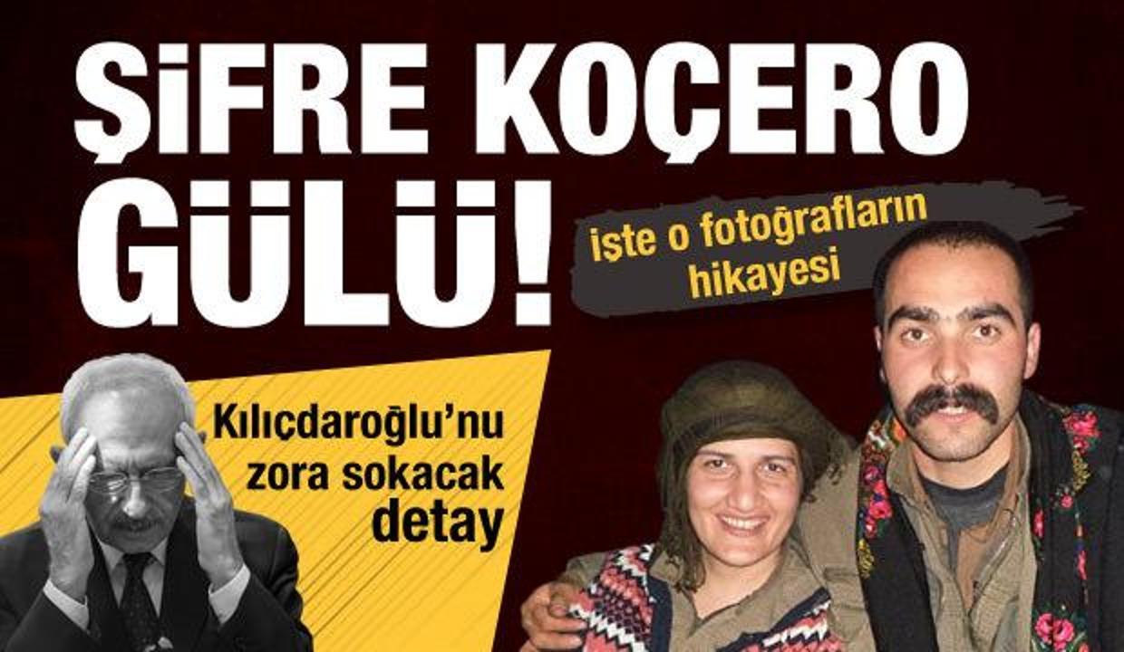 HDP'li Güzel'le PKK'lı teröristin fotoğraflarına ilişkin yeni detaylar! Şifre Koçero Gülü
