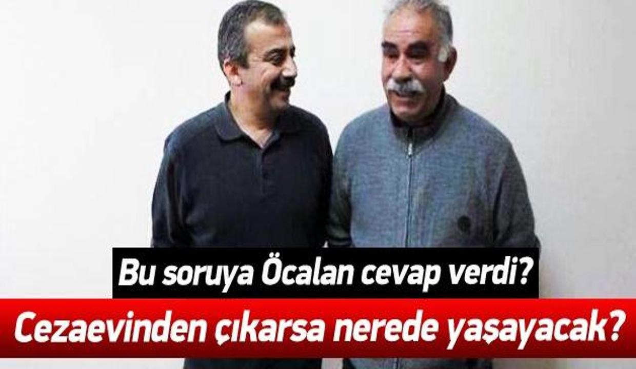Öcalan Çıkarsam nerede yaşarım? KİTAP Haberleri