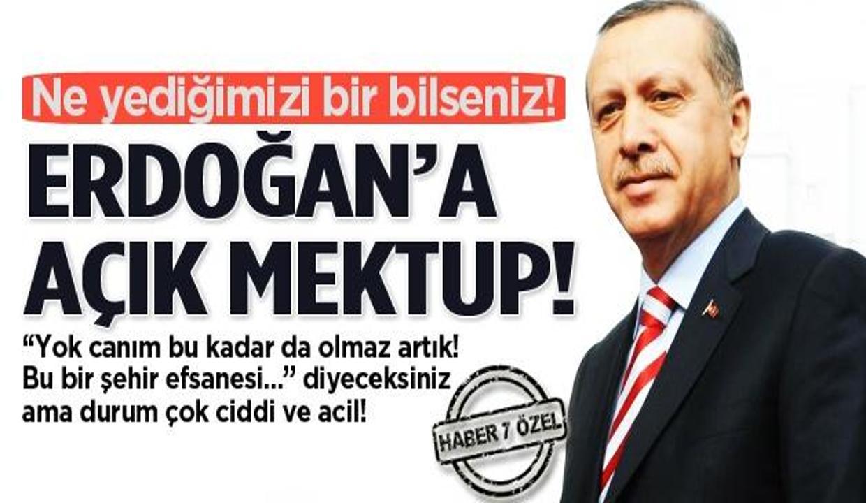 Yediğimiz ekmeğin ununda insan kılı skandalı!