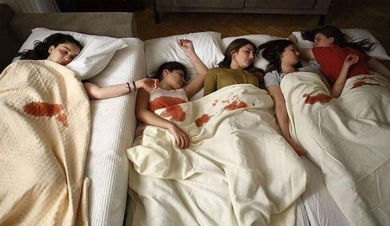 Kırgın Çiçekler (2016 2017) yeni sezonu ne zaman başlayacak