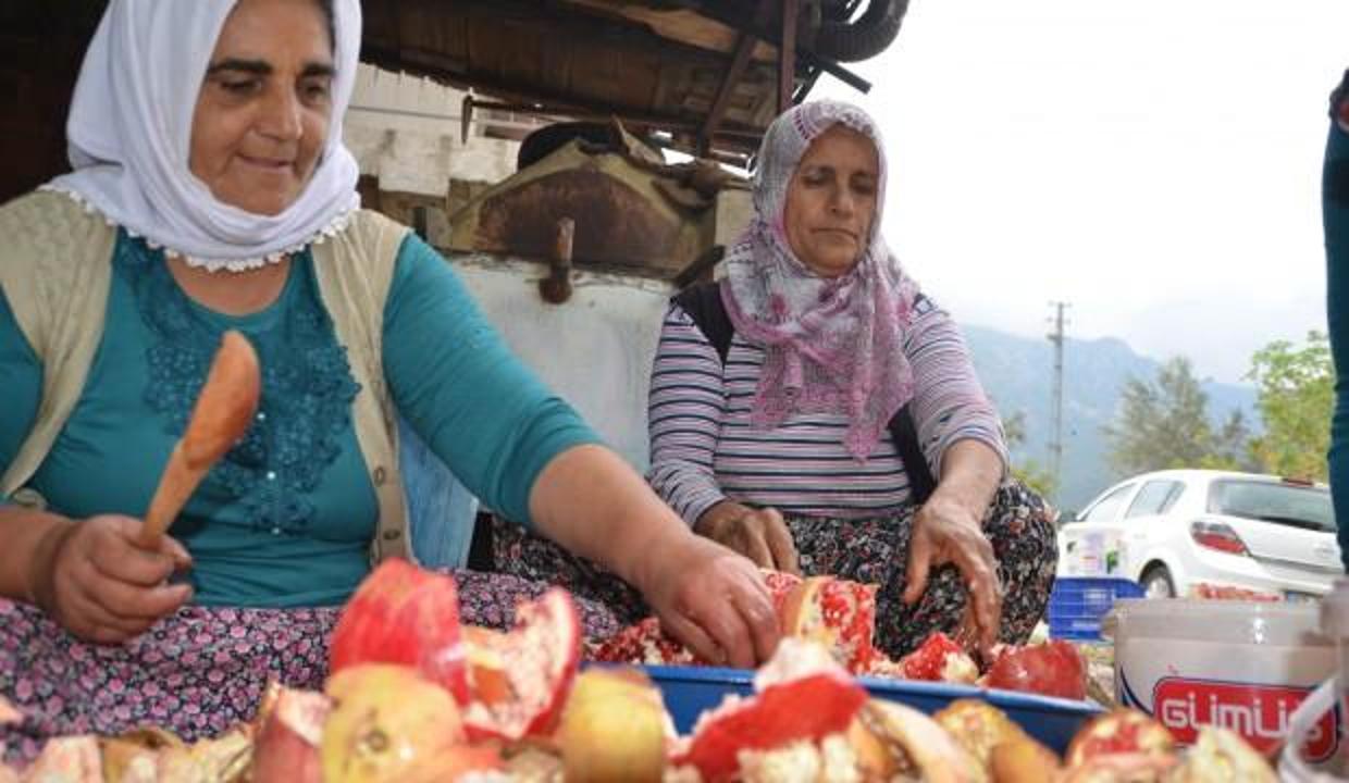 15 kilogramdan 1 kilogram çıkıyor! Kilosu 35 liradan satılıyor