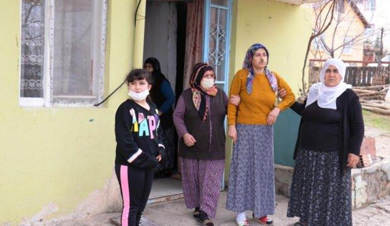 malatya köpeği