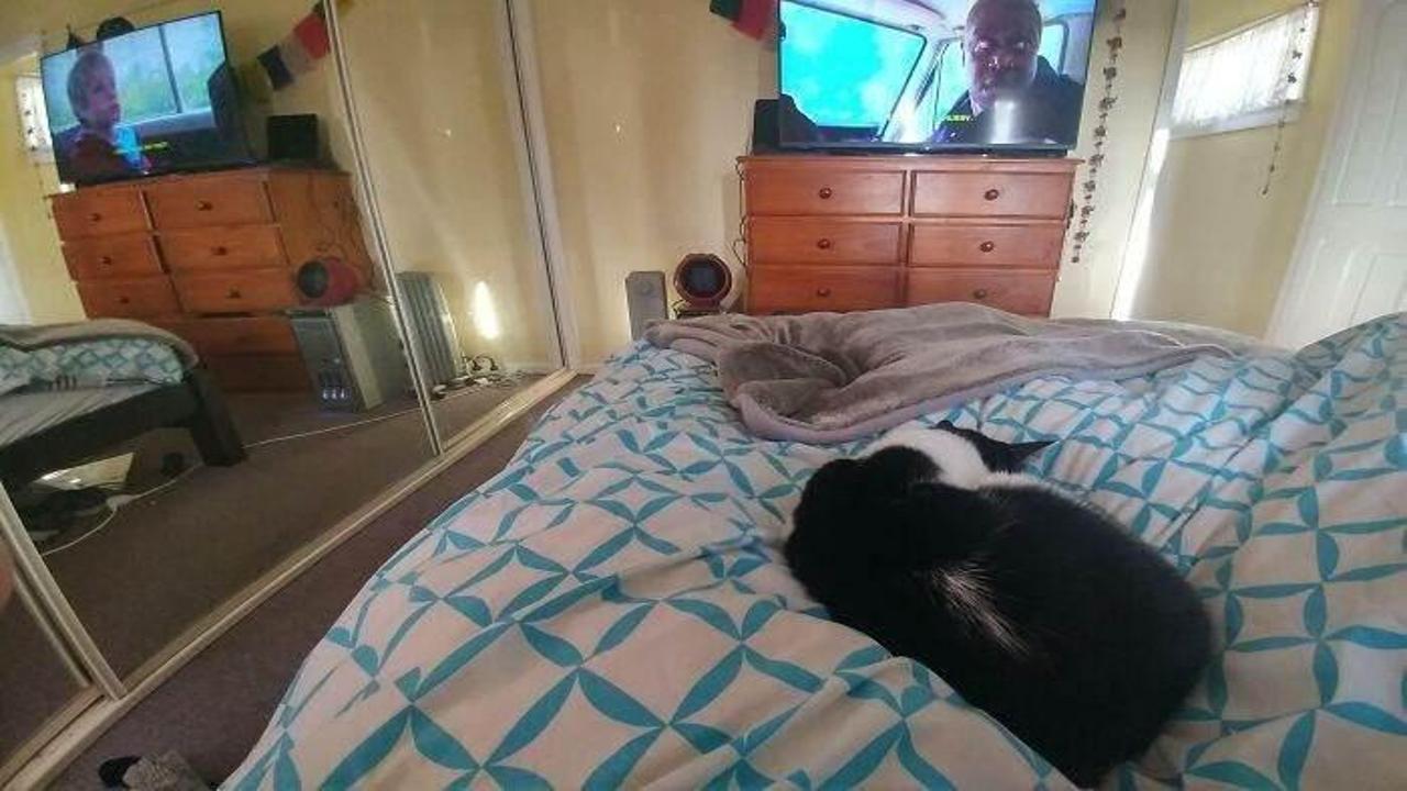 görsel