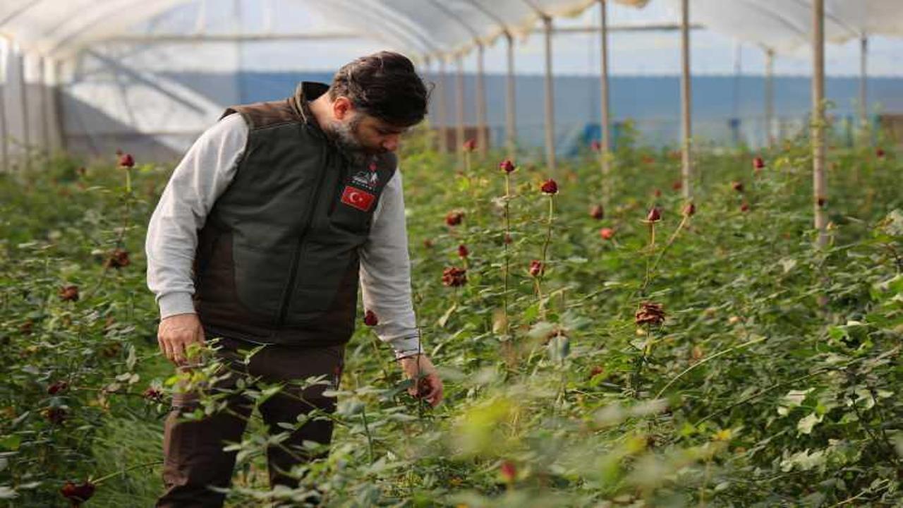 Adana'dan 14 şubat öncesi sevgilileri üzecek haber! Fiyatları daha da yükselecek