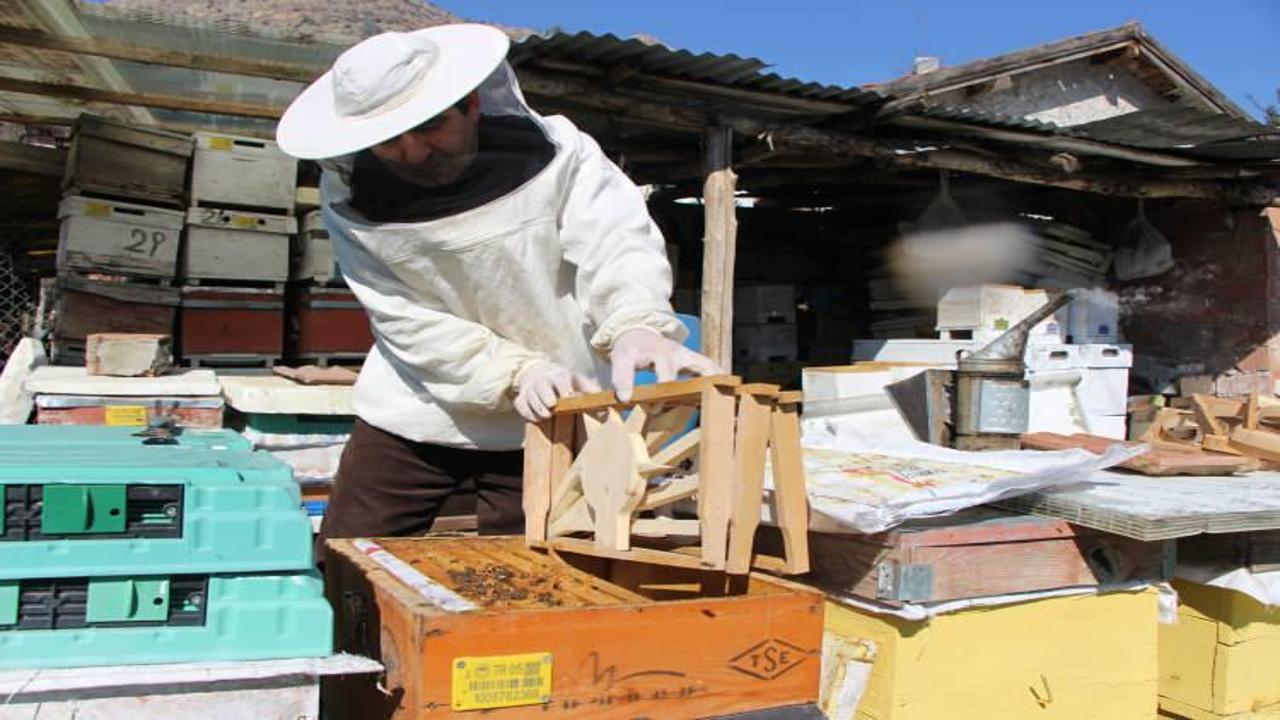 Bu seçimi arılar belirleyecek! 3 partinin kıyasıya yarışı eylül ayında son bulacak